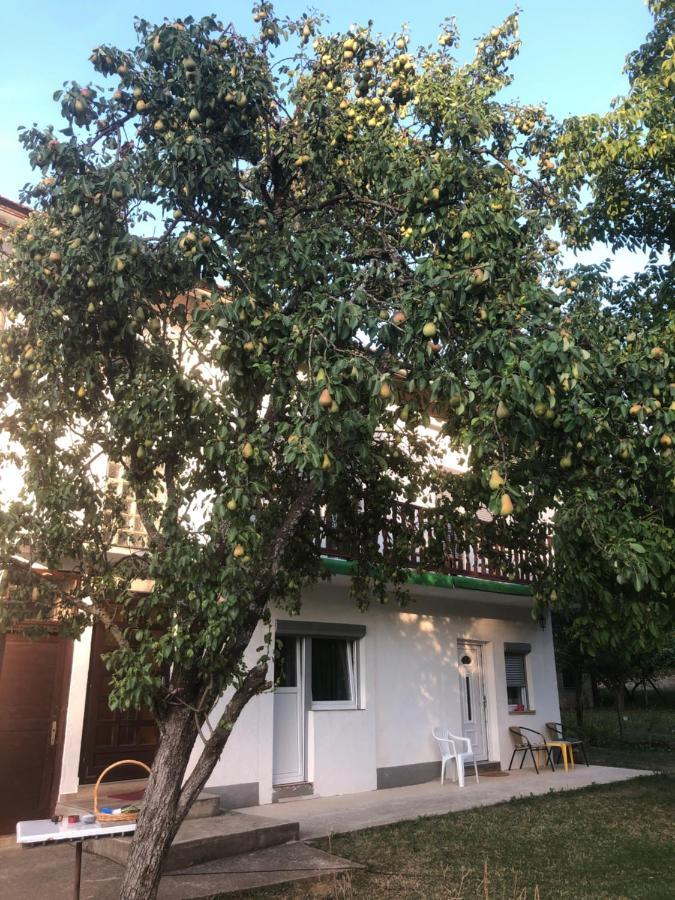 Guesthouse D&D Licko Petrovo Selo Eksteriør billede